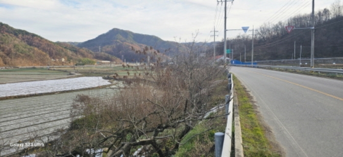경상북도 김천시 구성면 구미리 464 외 1필지 전 경매 사진 4