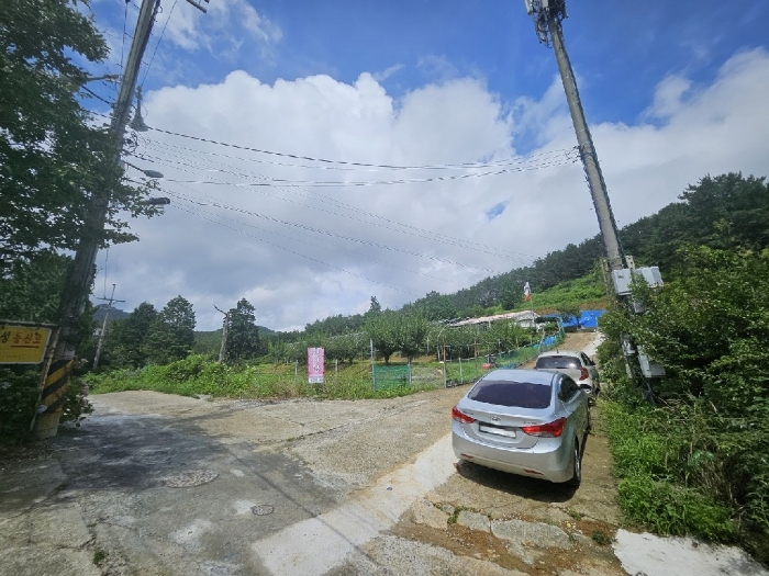 경상남도 거제시 둔덕면 학산리 16-18 과수원 경매 사진 3