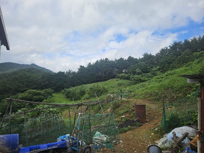 경상남도 거제시 둔덕면 학산리 16-18 과수원 경매 사진 4
