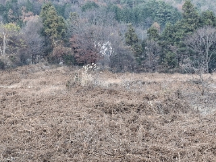 경상남도 남해군 삼동면 봉화리 1781 외 1필지 답 경매 사진 1