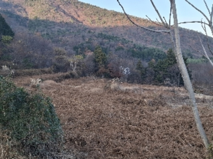경상남도 남해군 삼동면 봉화리 1781 외 1필지 답 경매 사진 2
