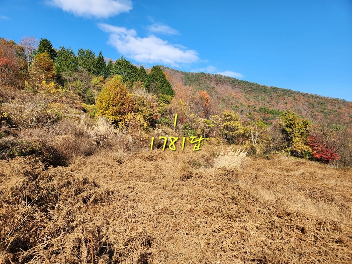 경상남도 남해군 삼동면 봉화리 1781 외 1필지 답 경매 사진 3