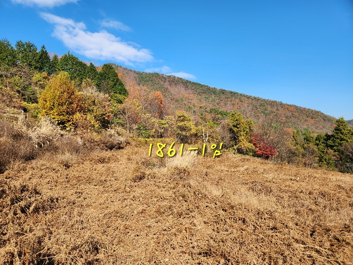 경상남도 남해군 삼동면 봉화리 1781 외 1필지 답 경매 사진 4