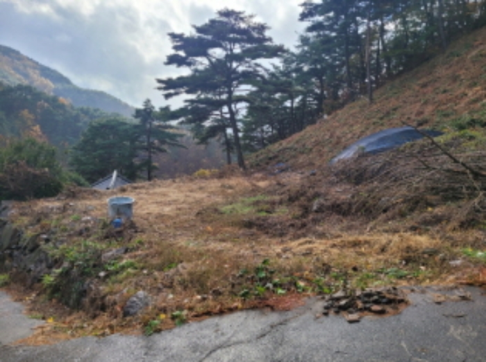 경상남도 하동군 악양면 신흥리 1 외 23필지 종교시설 경매 사진 2