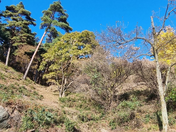 경상남도 하동군 악양면 신흥리 1 외 23필지 종교시설 경매 사진 102