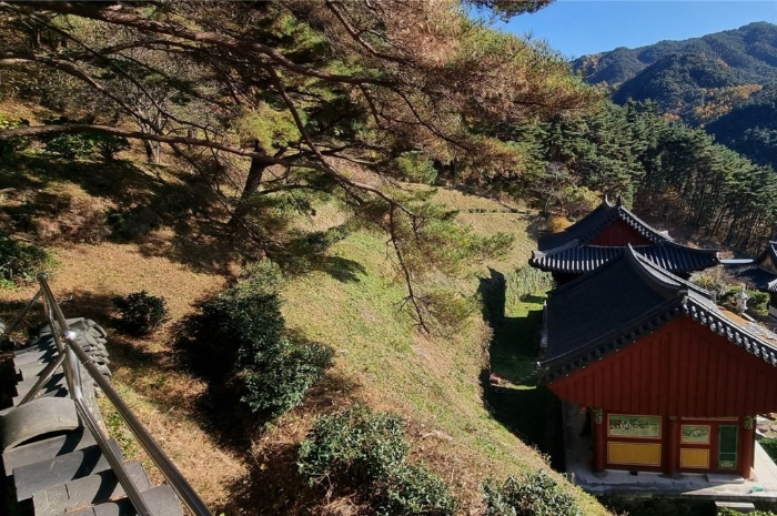 경상남도 하동군 악양면 신흥리 1 외 23필지 종교시설 경매 사진 106