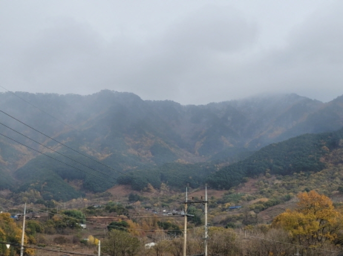 경상남도 하동군 악양면 신흥리 1 외 23필지 종교시설 경매 사진 19