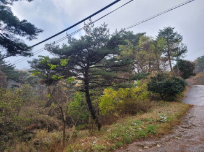 경상남도 하동군 악양면 신흥리 1 외 23필지 종교시설 경매 사진 32