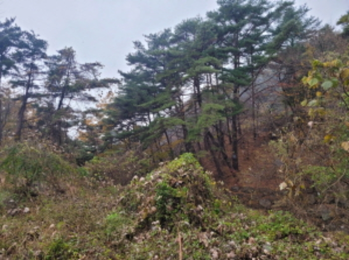 경상남도 하동군 악양면 신흥리 1 외 23필지 종교시설 경매 사진 33