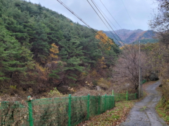 경상남도 하동군 악양면 신흥리 1 외 23필지 종교시설 경매 사진 36