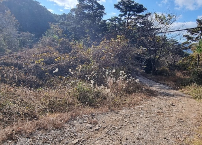 경상남도 하동군 악양면 신흥리 1 외 23필지 종교시설 경매 사진 49