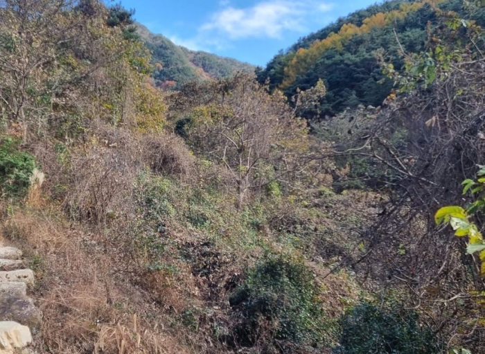 경상남도 하동군 악양면 신흥리 1 외 23필지 종교시설 경매 사진 54