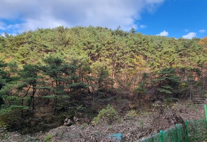 경상남도 하동군 악양면 신흥리 1 외 23필지 종교시설 경매 사진 56