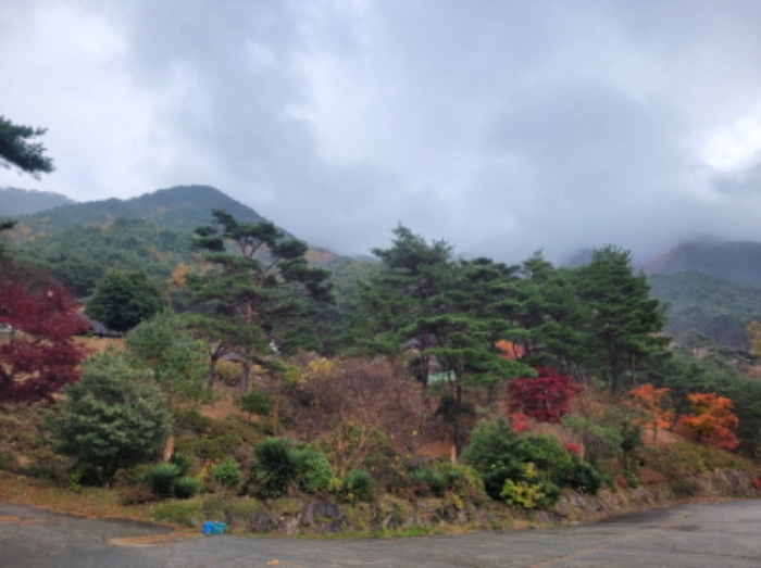 경상남도 하동군 악양면 신흥리 1 외 23필지 종교시설 경매 사진 7