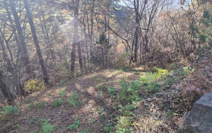 경상남도 하동군 악양면 신흥리 1 외 23필지 종교시설 경매 사진 85