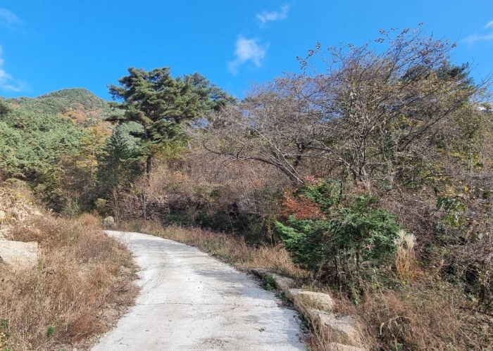 경상남도 하동군 악양면 신흥리 1 외 23필지 종교시설 경매 사진 86