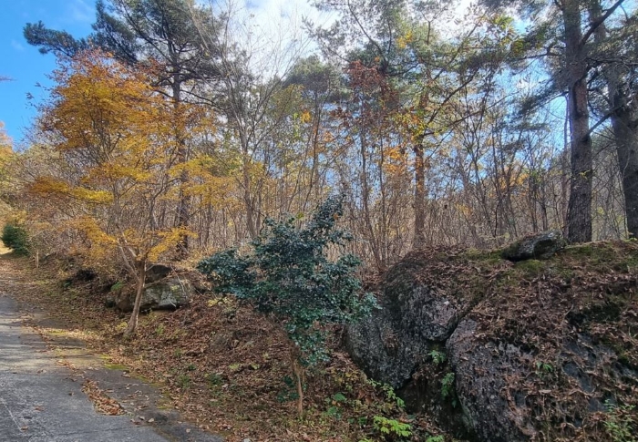 경상남도 하동군 악양면 신흥리 1 외 23필지 종교시설 경매 사진 87