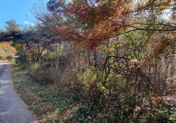 경상남도 하동군 악양면 신흥리 1 외 23필지 종교시설 경매 사진 88