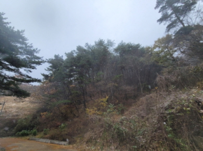 경상남도 하동군 악양면 신흥리 1 외 23필지 종교시설 경매 사진 10