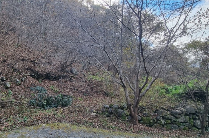 경상남도 하동군 악양면 신흥리 1 외 23필지 종교시설 경매 사진 92