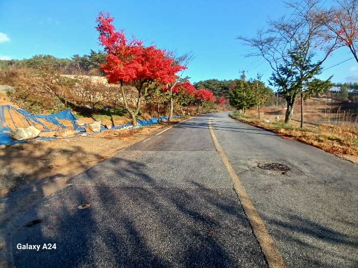 전라남도 장성군 서삼면 모암리 산46 임야 경매 사진 22