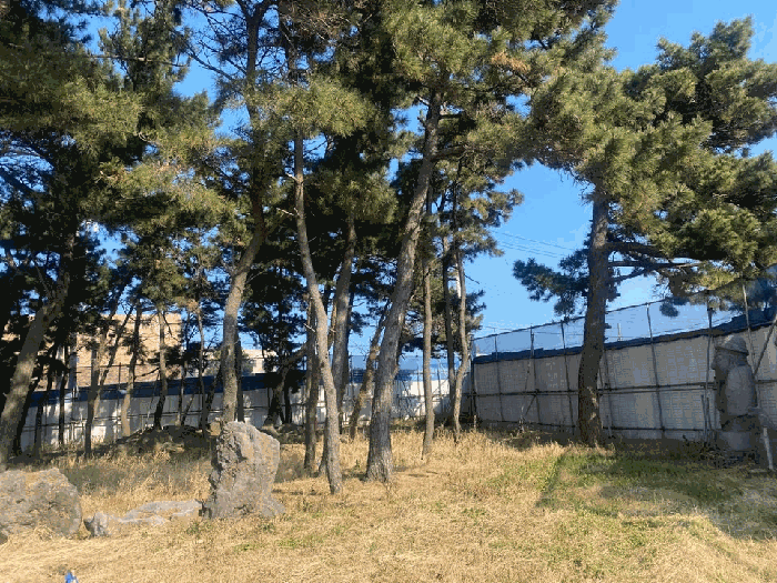 제주특별자치도 제주시 용담삼동 2296-2 외 1필지 근린생활시설 경매 사진 22