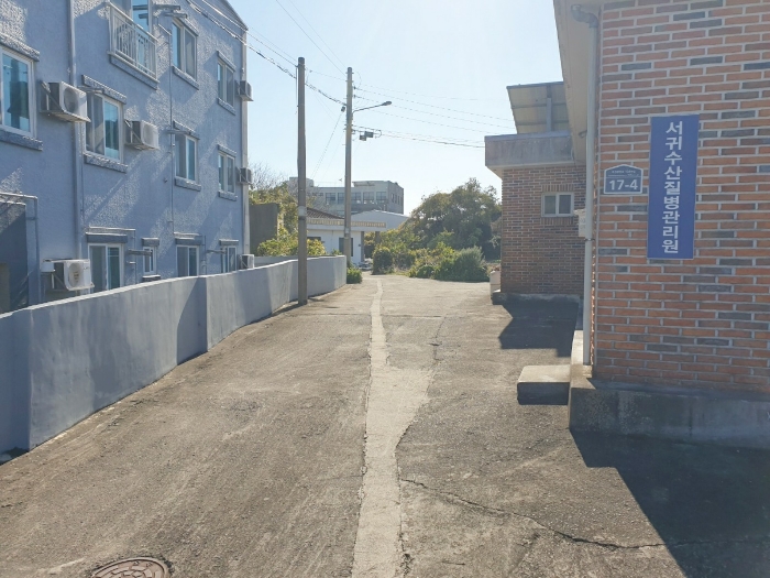 제주특별자치도 서귀포시 표선면 표선리 767 외 4필지 대지 경매 사진 15