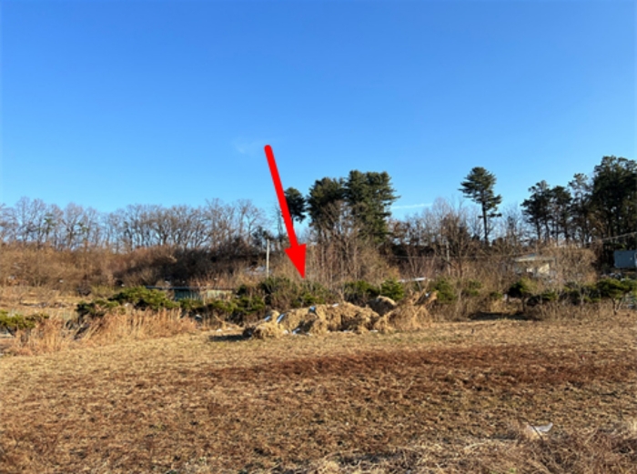 경기도 양평군 양평읍 도곡리 464 전 경매 사진 30