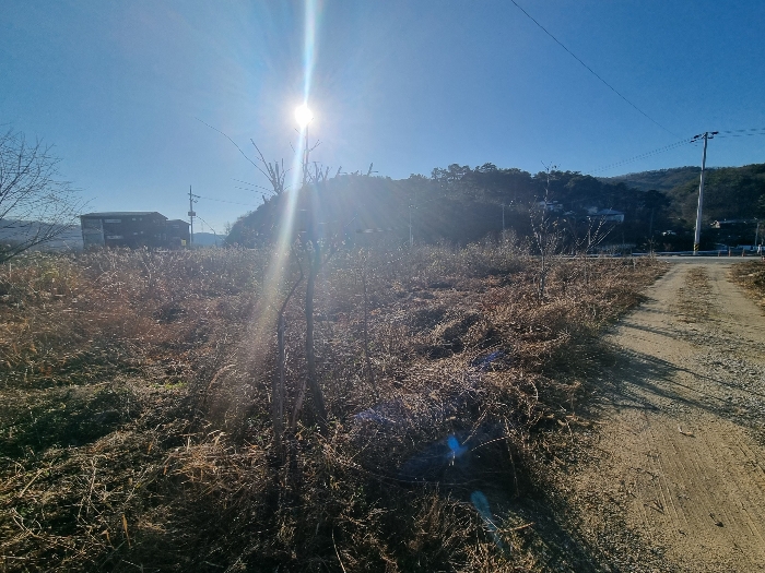 충청북도 충주시 앙성면 조천리 39-10 전 경매 사진 3