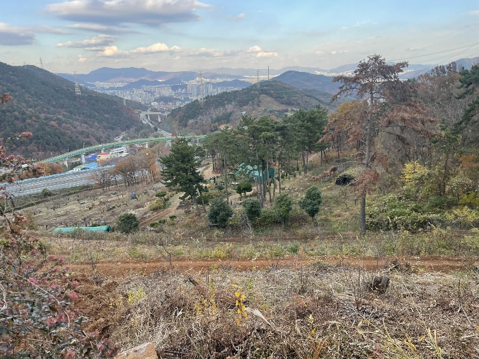 경상남도 김해시 대청동 800-26 전 경매 사진 49