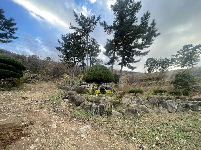 경상남도 김해시 대청동 800-26 전 경매 사진 55