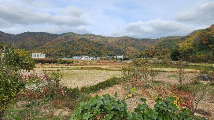 경상남도 거제시 연초면 오비리 820-2 답 경매 사진 3