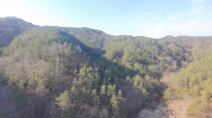 경상남도 합천군 합천읍 금양리 707 외 4필지 전 경매 사진 6