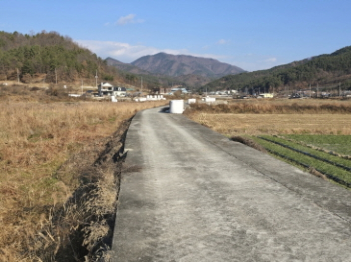 경상남도 합천군 합천읍 금양리 707 외 4필지 전 경매 사진 9