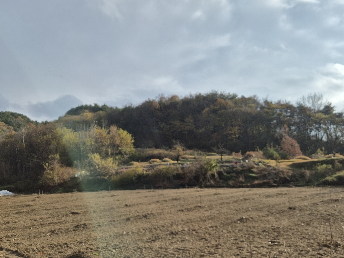전라남도 곡성군 고달면 목동리 39 전 경매 사진 11