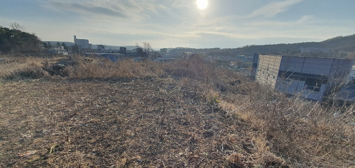 경기도 파주시 파주읍 파주리 209 전 경매 사진 32