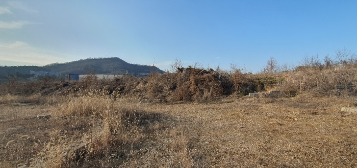 경기도 파주시 파주읍 파주리 209 전 경매 사진 34