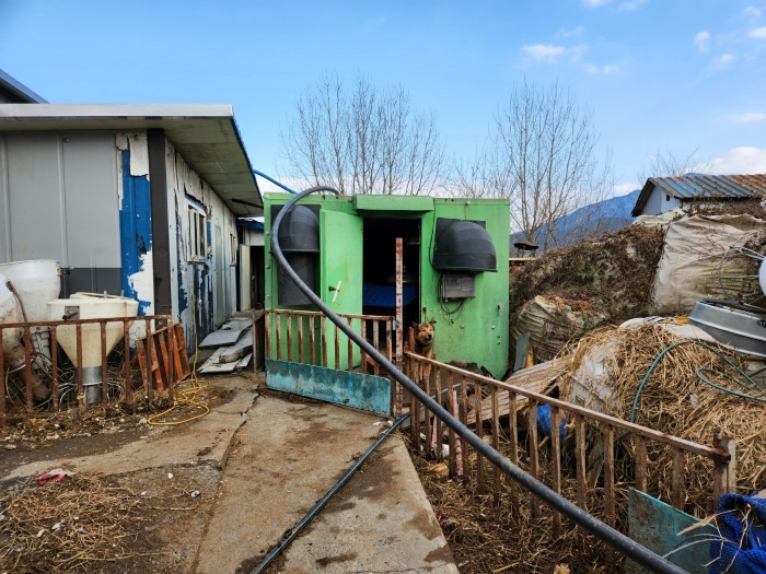 충청남도 홍성군 은하면 장척리 365-1 외 10필지 동물및식물관련시설 경매 사진 31