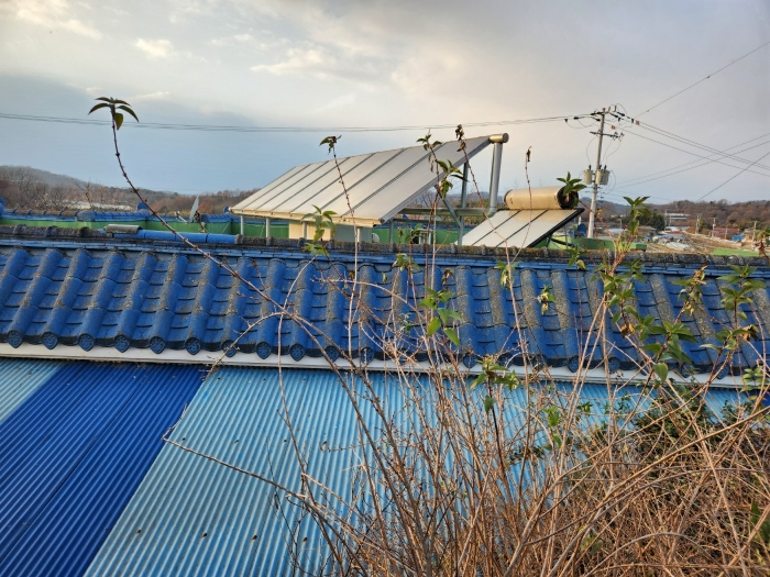 충청남도 홍성군 은하면 장척리 365-1 외 10필지 동물및식물관련시설 경매 사진 45