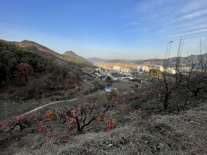 경상남도 창원시 의창구 북면 신촌리 707-1 기타 경매 사진 11