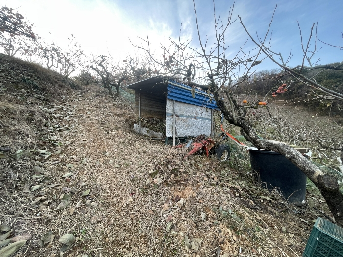 경상남도 창원시 의창구 북면 신촌리 707-1 기타 경매 사진 14