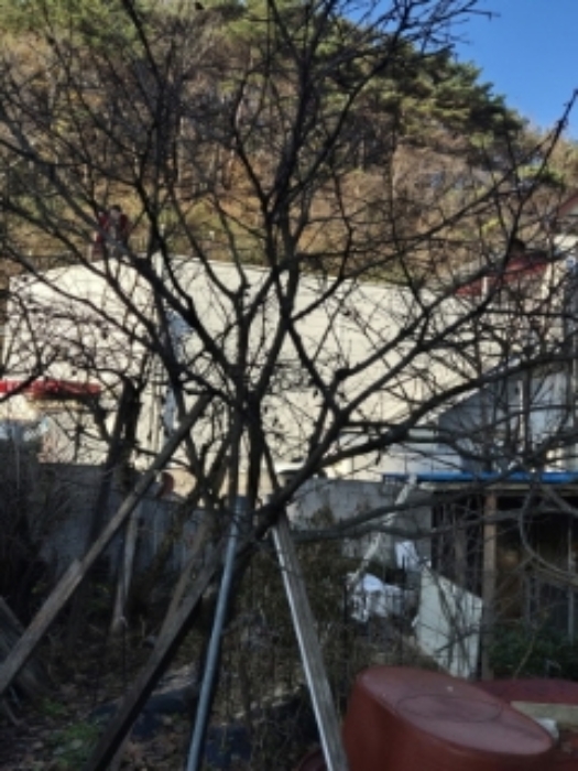 광주광역시 동구 내남동 242 전 경매 사진 13