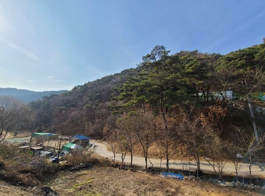 강원특별자치도 원주시 귀래면 귀래리 산102-9 임야 경매 사진 3