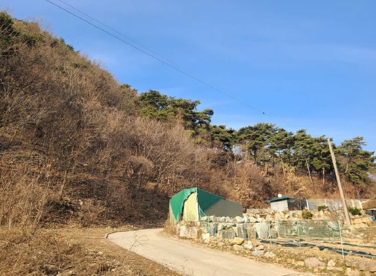 강원특별자치도 원주시 귀래면 귀래리 산102-9 임야 경매 사진 4