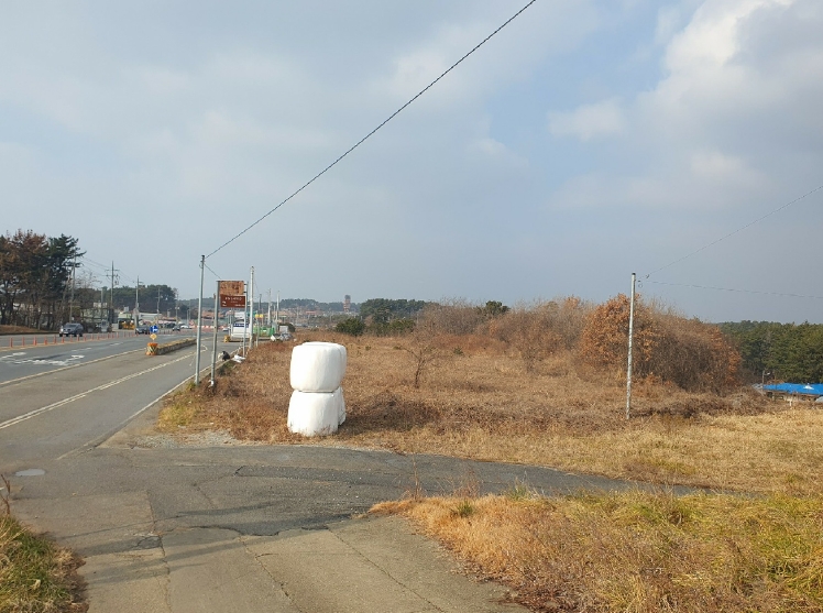 충청남도 태안군 남면 원청리 41-7 외 6필지 임야 경매 사진 2