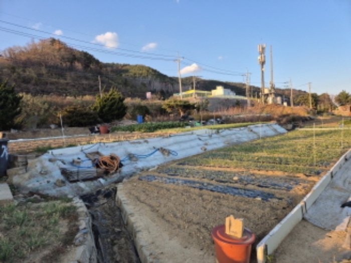 경상북도 영덕군 병곡면 금곡리 45-2 전 경매 사진 1