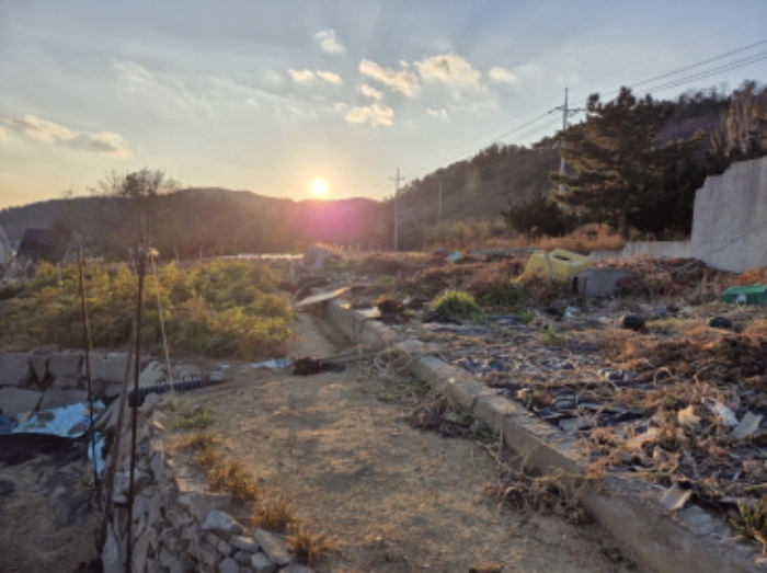 경상북도 영덕군 병곡면 금곡리 45-2 전 경매 사진 2
