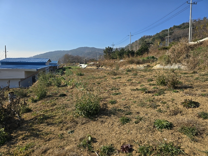 경상북도 영덕군 병곡면 금곡리 45-2 전 경매 사진 3