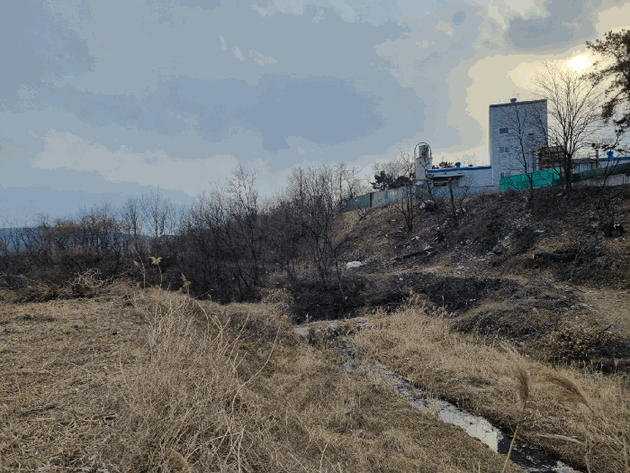 경상북도 포항시 북구 신광면 안덕리 347-1 외 1필지 공장 경매 사진 44