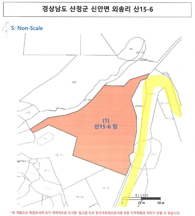 경상남도 산청군 신안면 외송리 산15-6 임야 경매 사진 10
